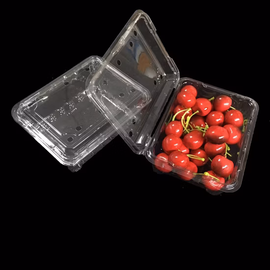 FDA Attestation Pet Transparent Food Grade Plastic Fruit Punnet