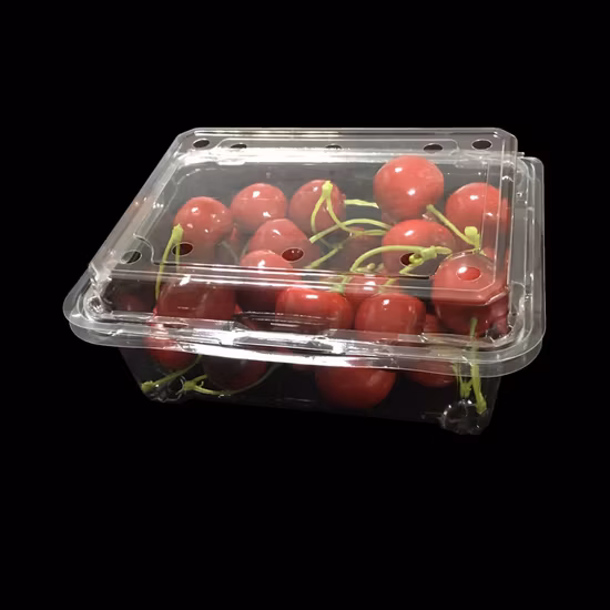 FDA Attestation Pet Transparent Food Grade Plastic Fruit Punnet