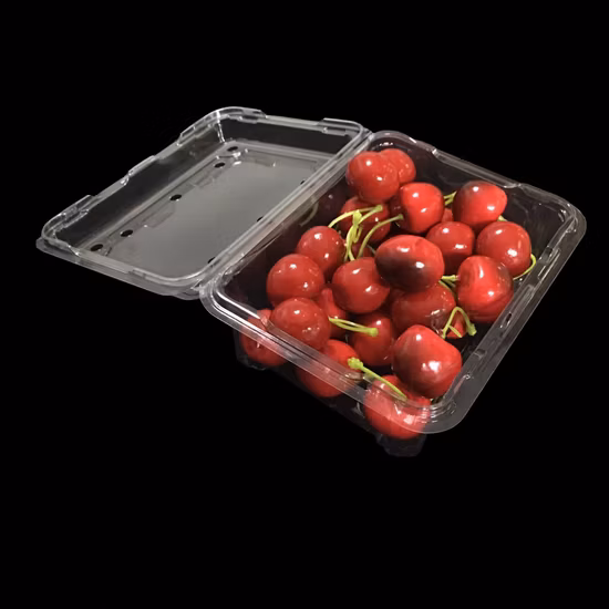 FDA認証ペット用透明食品グレードプラスチックフルーツパネット